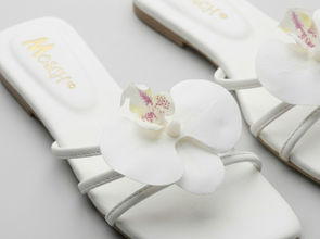 Orchid